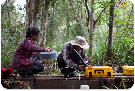 Peatland restoration project