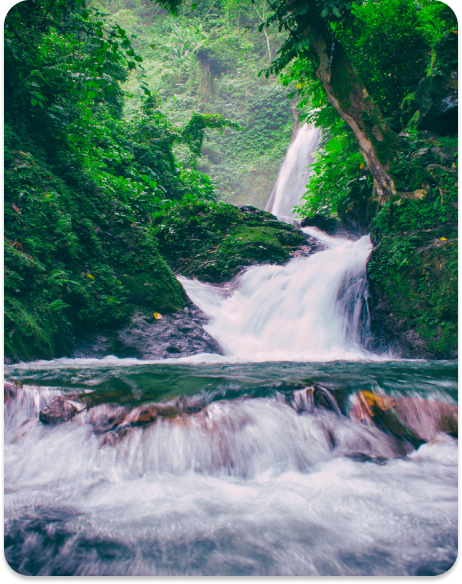 Waterfall in jungle 